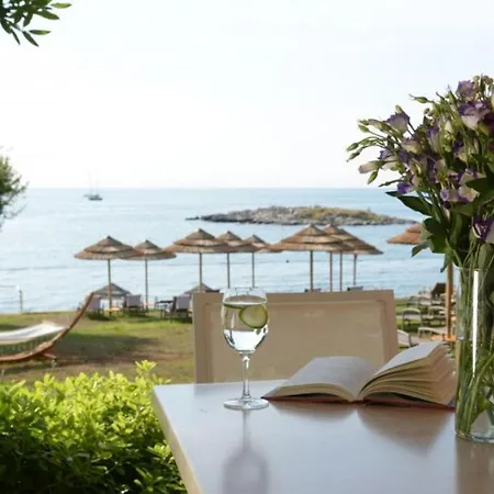 Beautiful Salvea With Pool In Porec Montizana